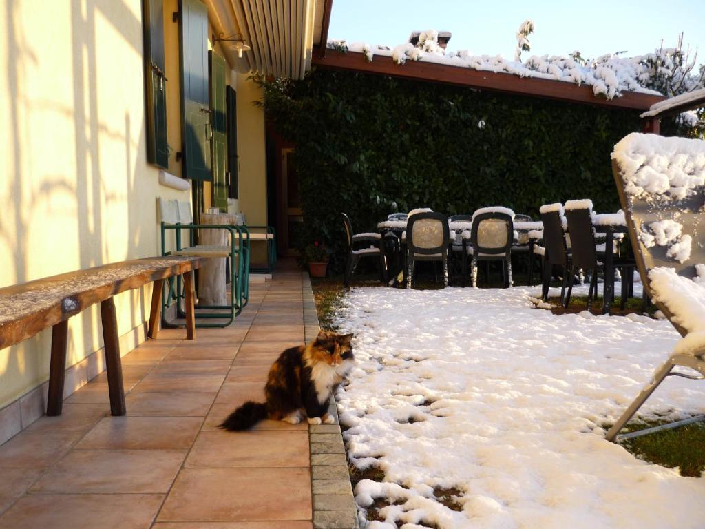 Sant'Andrea Agriturismo Con Cantina Martignago Vignaioli Asolo Prosecco Docg Wines Maser Exterior foto