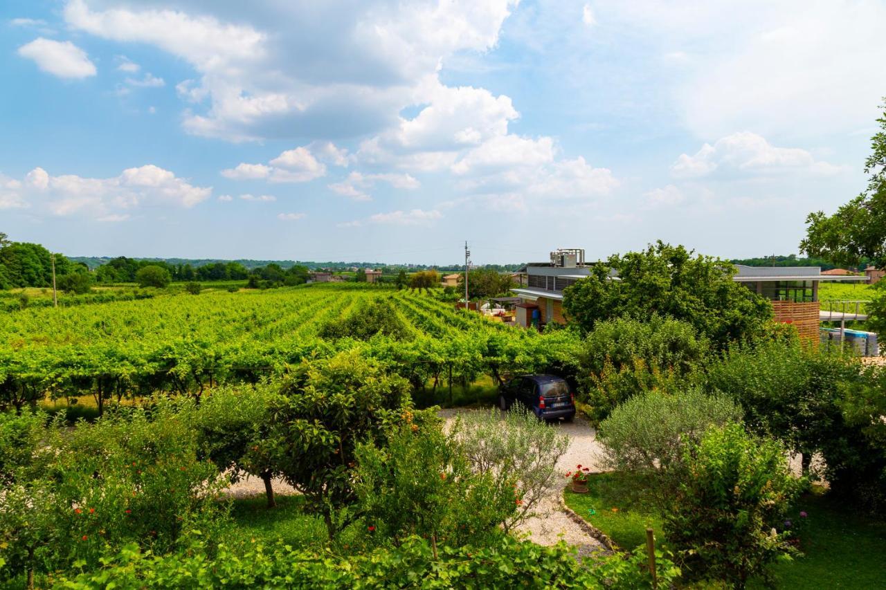Sant'Andrea Agriturismo Con Cantina Martignago Vignaioli Asolo Prosecco Docg Wines Maser Exterior foto